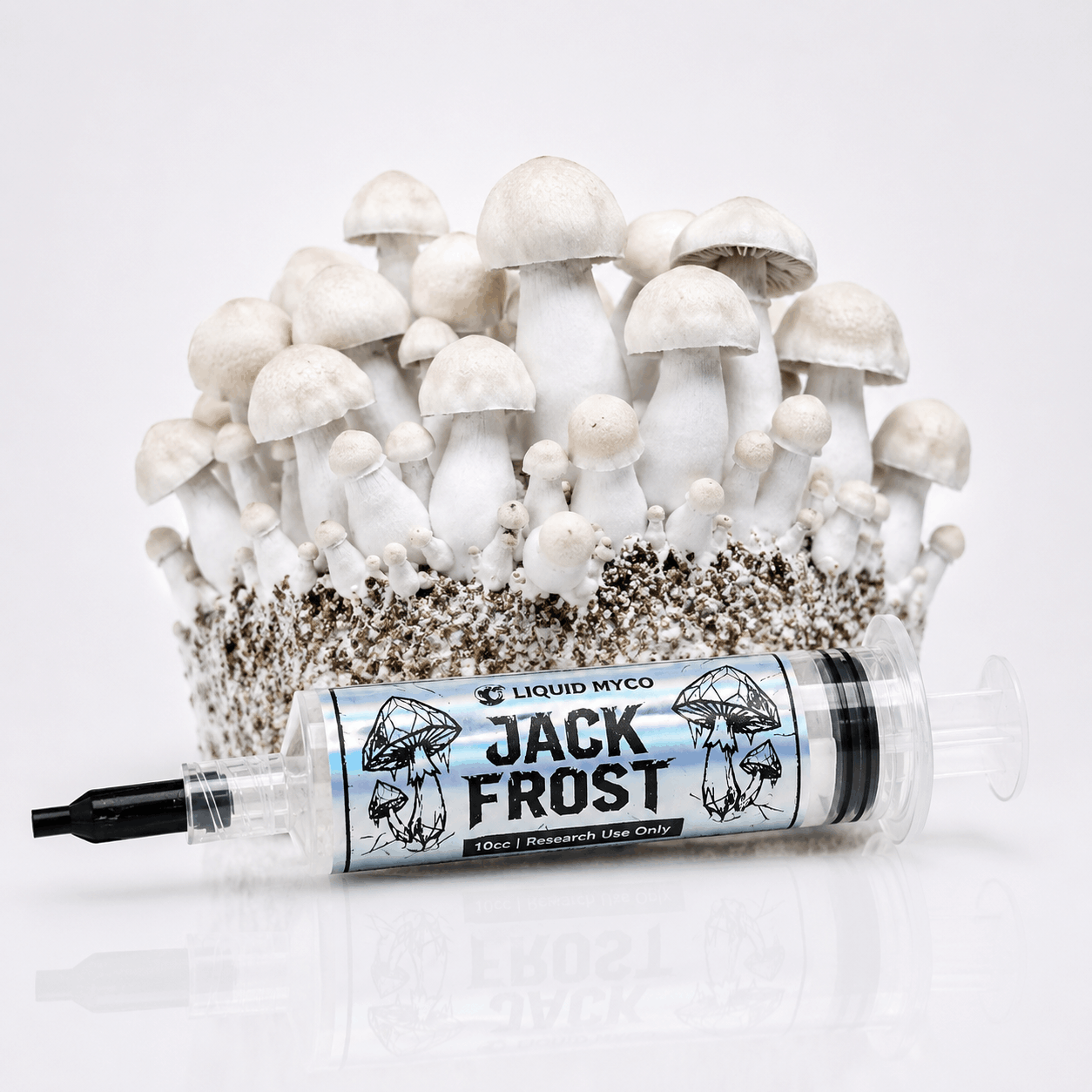 Jack Frost Isolated Spore Syringe | Liquid Myco