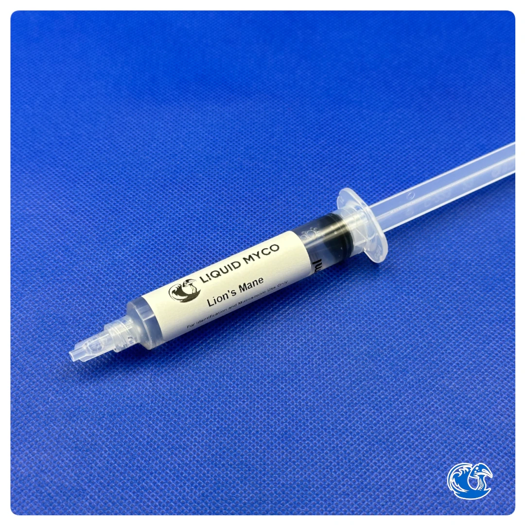 Lion's Mane syringe