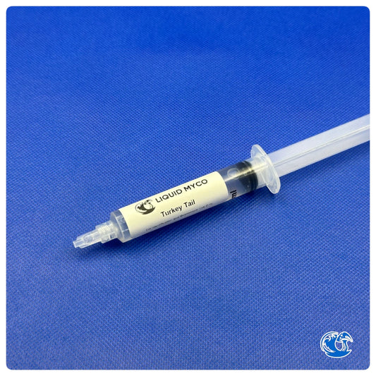 Turkey Tail mushrooms