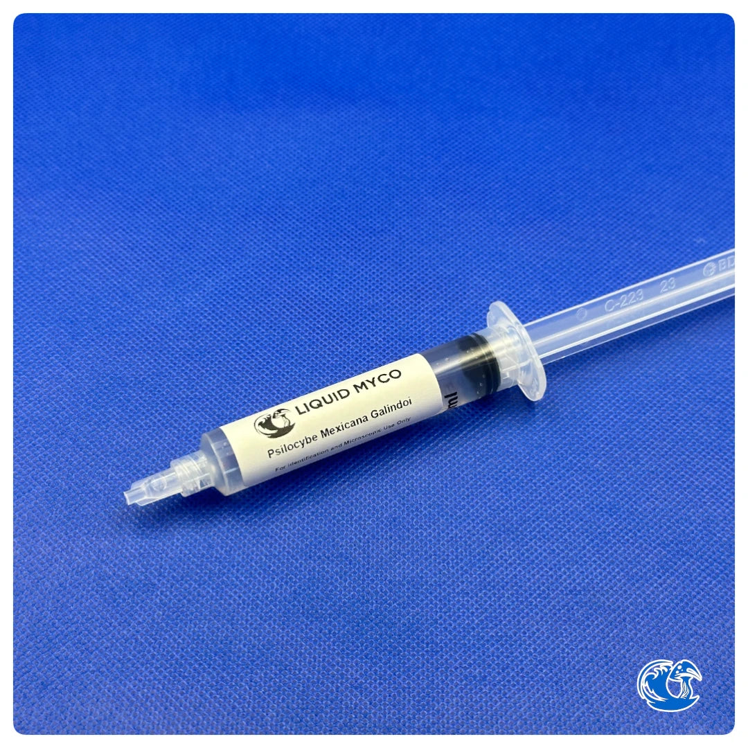 Psilocybe Mexicana Galindoi syringe