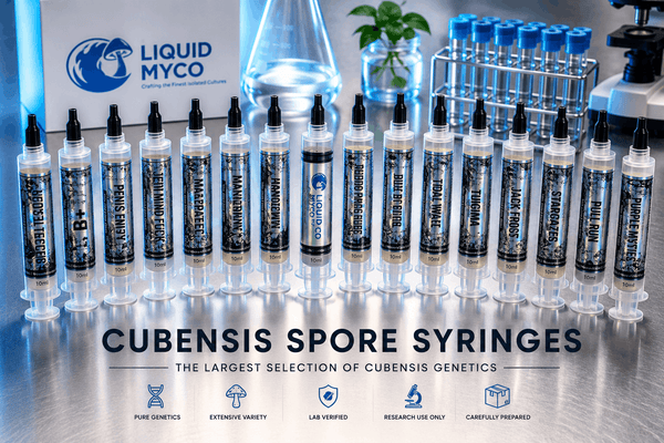 Psilocybe Cubensis Spore Syringes Hero