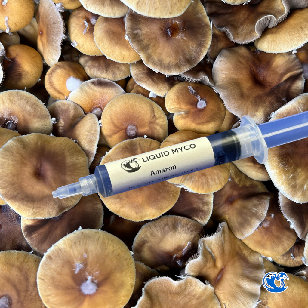 Amazon Spore Syringe