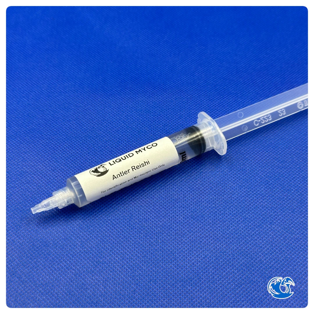 Antler Reishi Syringe