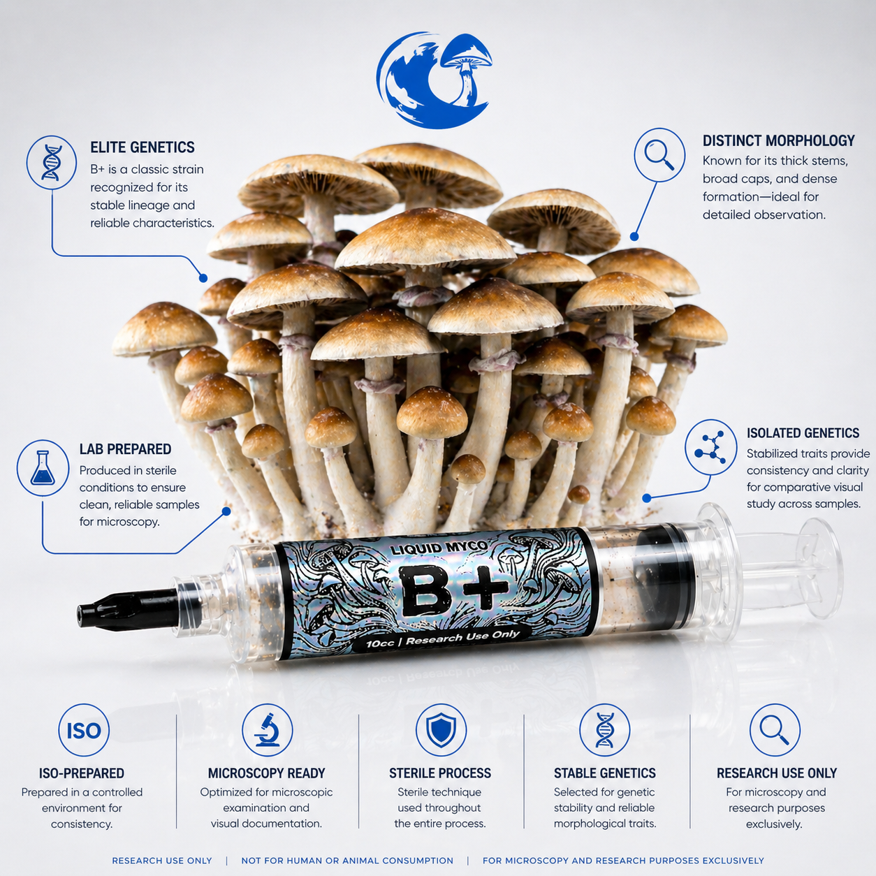 B Positive Infographic