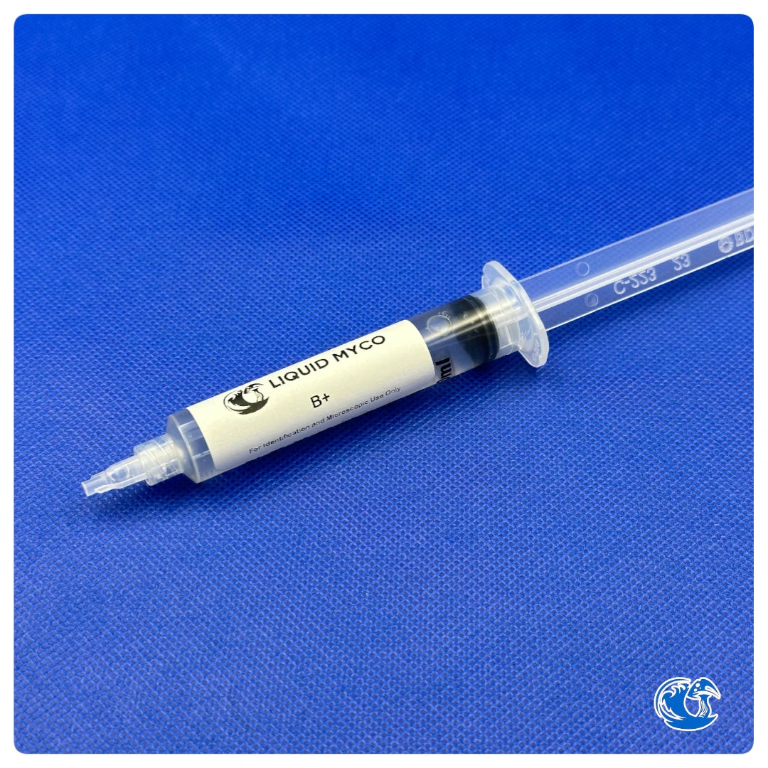 B+ syringe