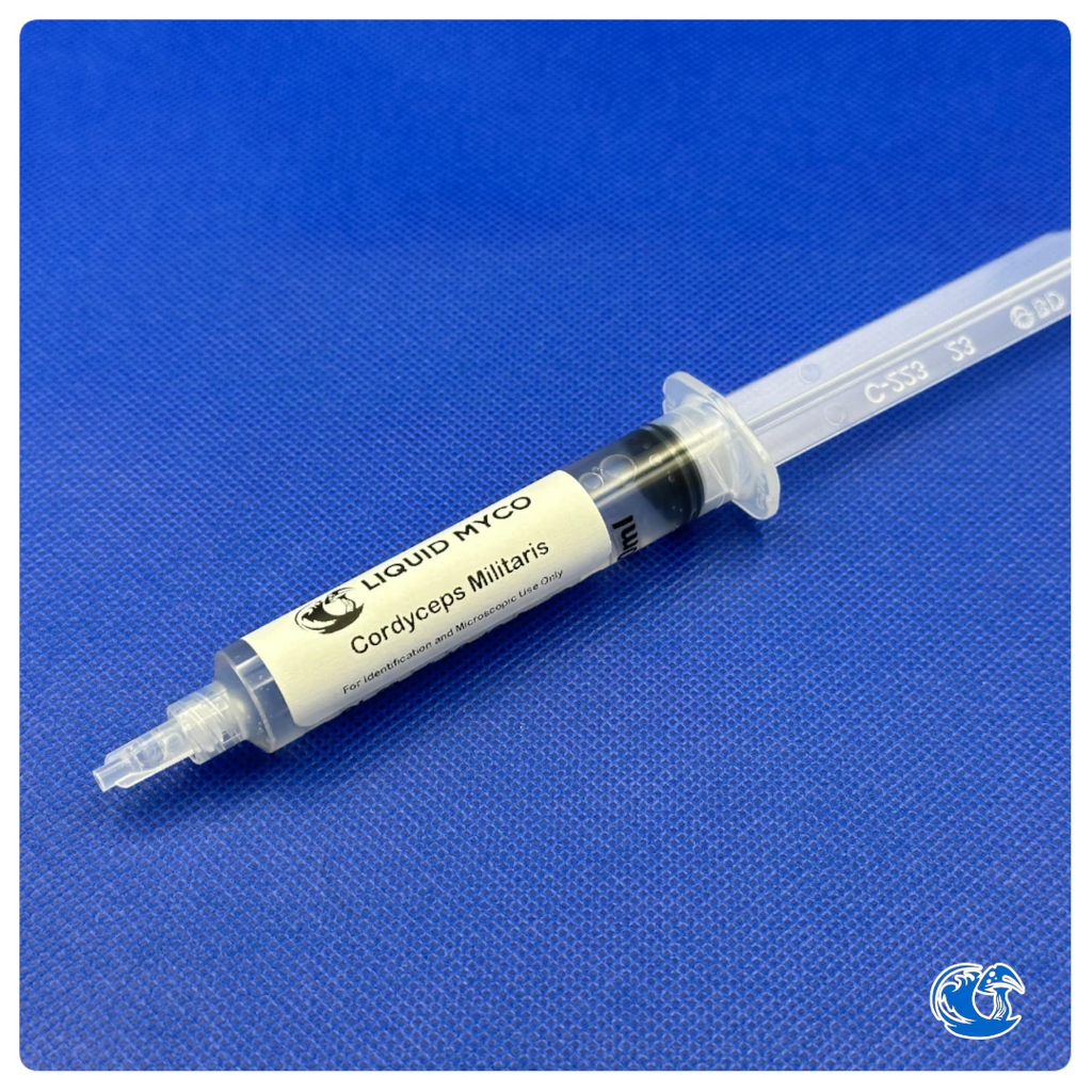 Cordyceps Militaris syringe