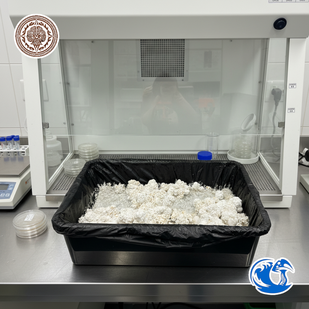 Enigma Liquid Culture Syringe