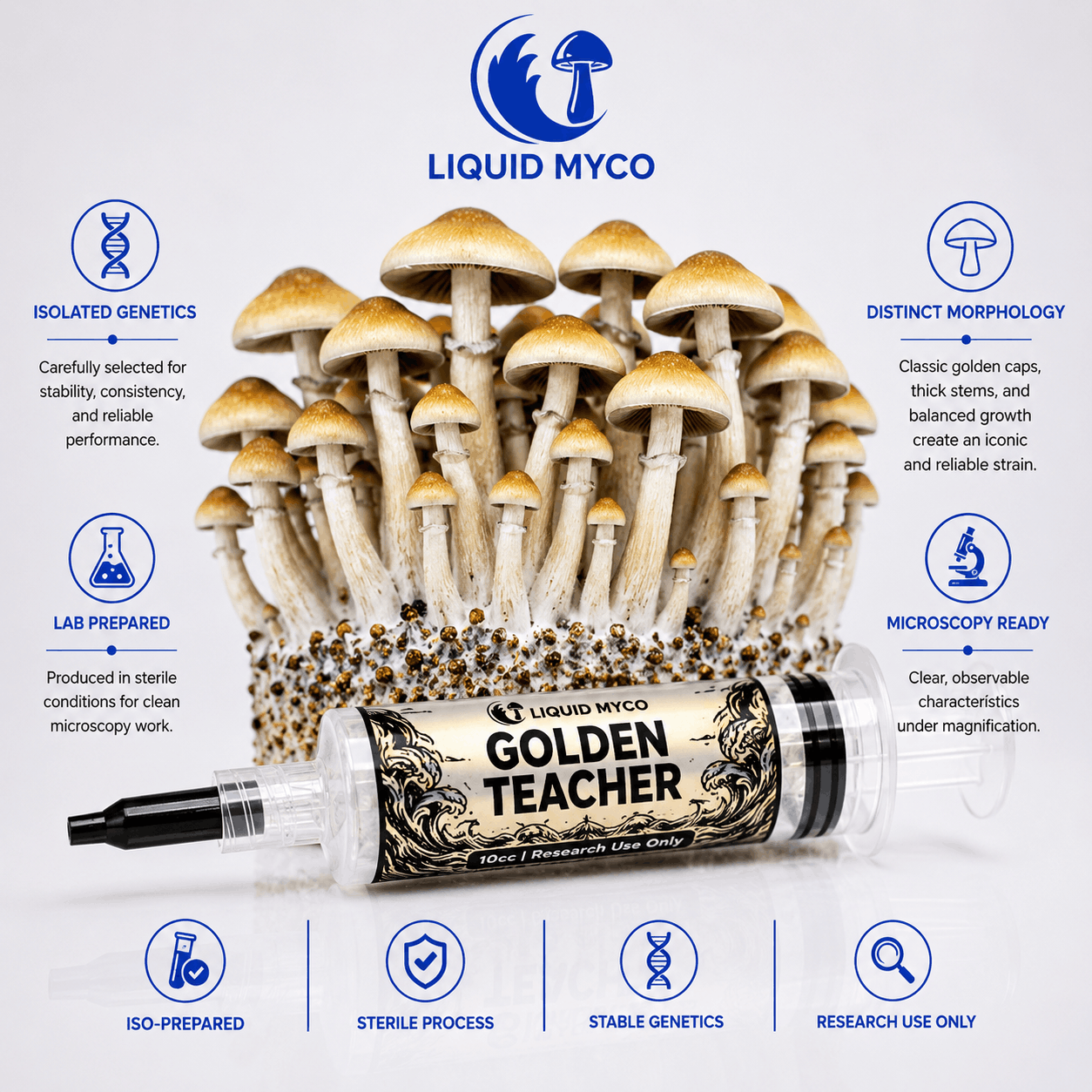 Golden Teacher Infographic