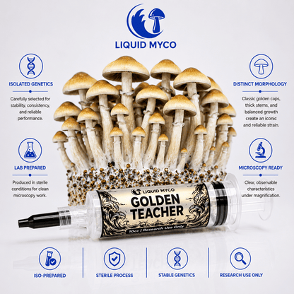 Golden Teacher Infographic