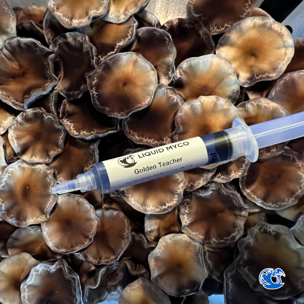 Golden Teacher Spore Syringe