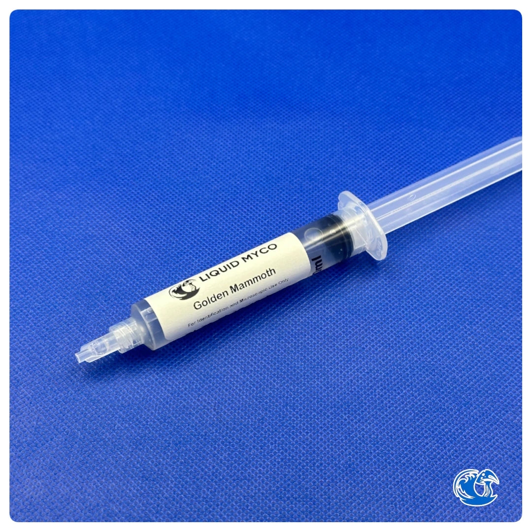 Golden Mammoth syringe