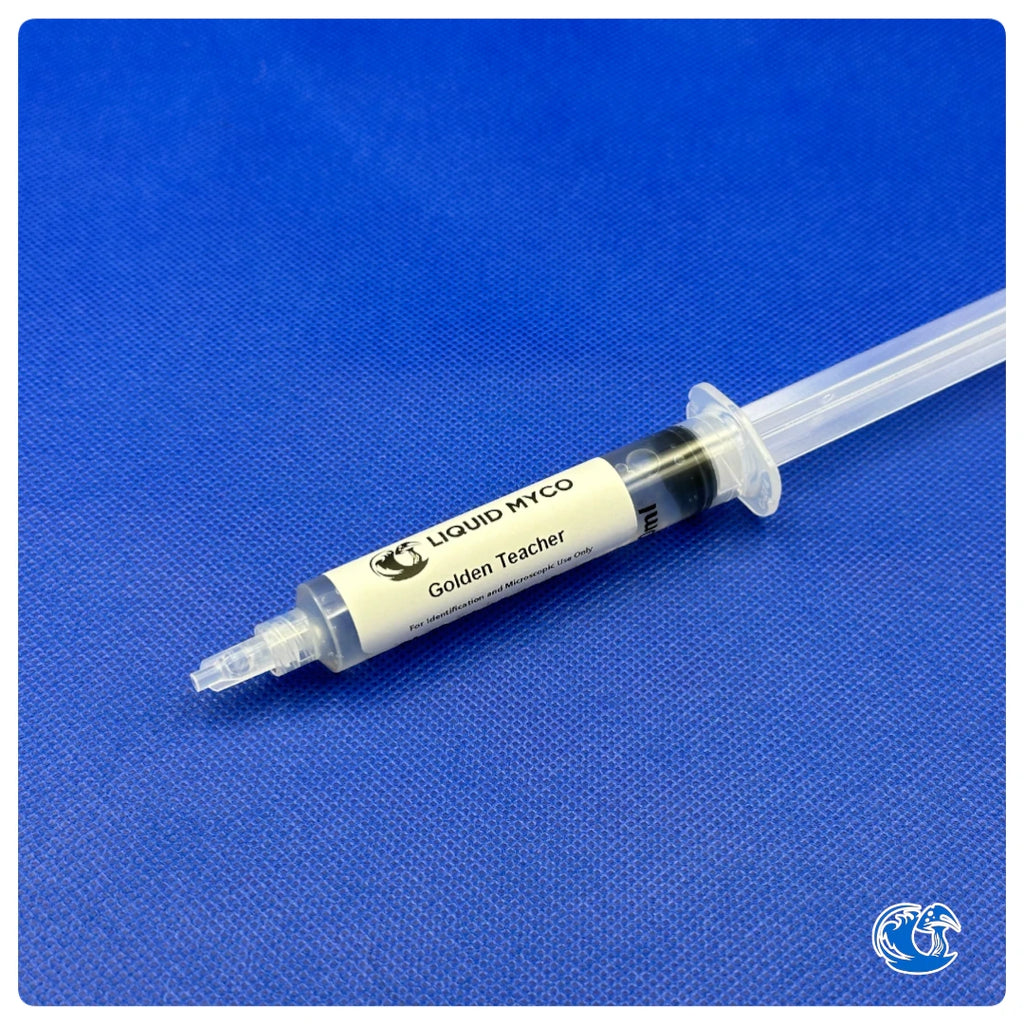 Golden Teacher syringe