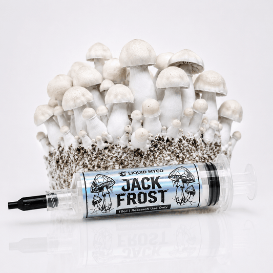 Jack Frost Hero