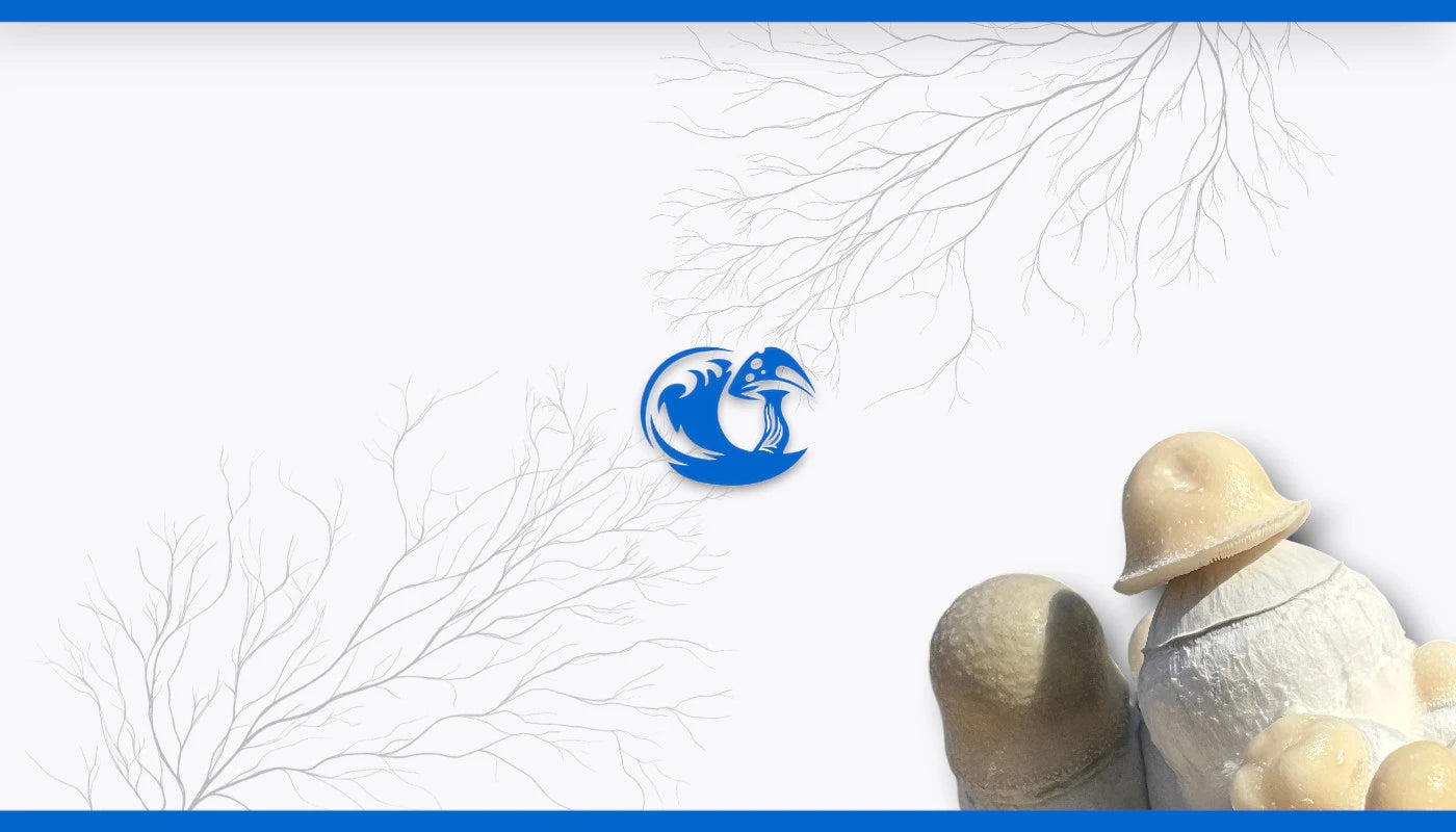 Liquid Myco Magic Mushroom Spores & Cultures