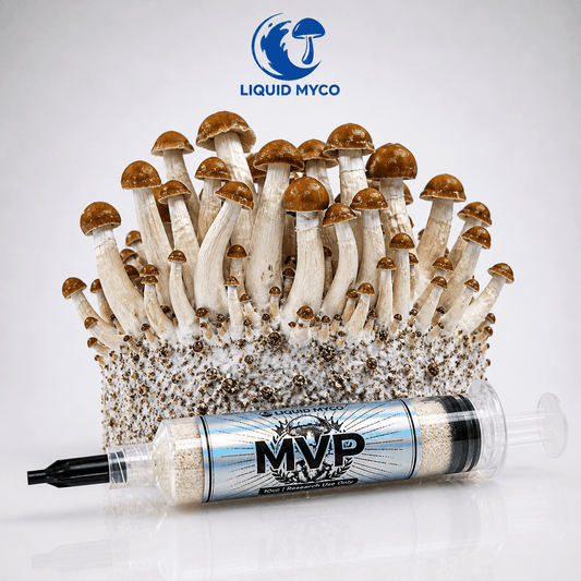 Most Valuable Producer (MVP) Hero