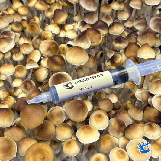 Menace Spore Syringe