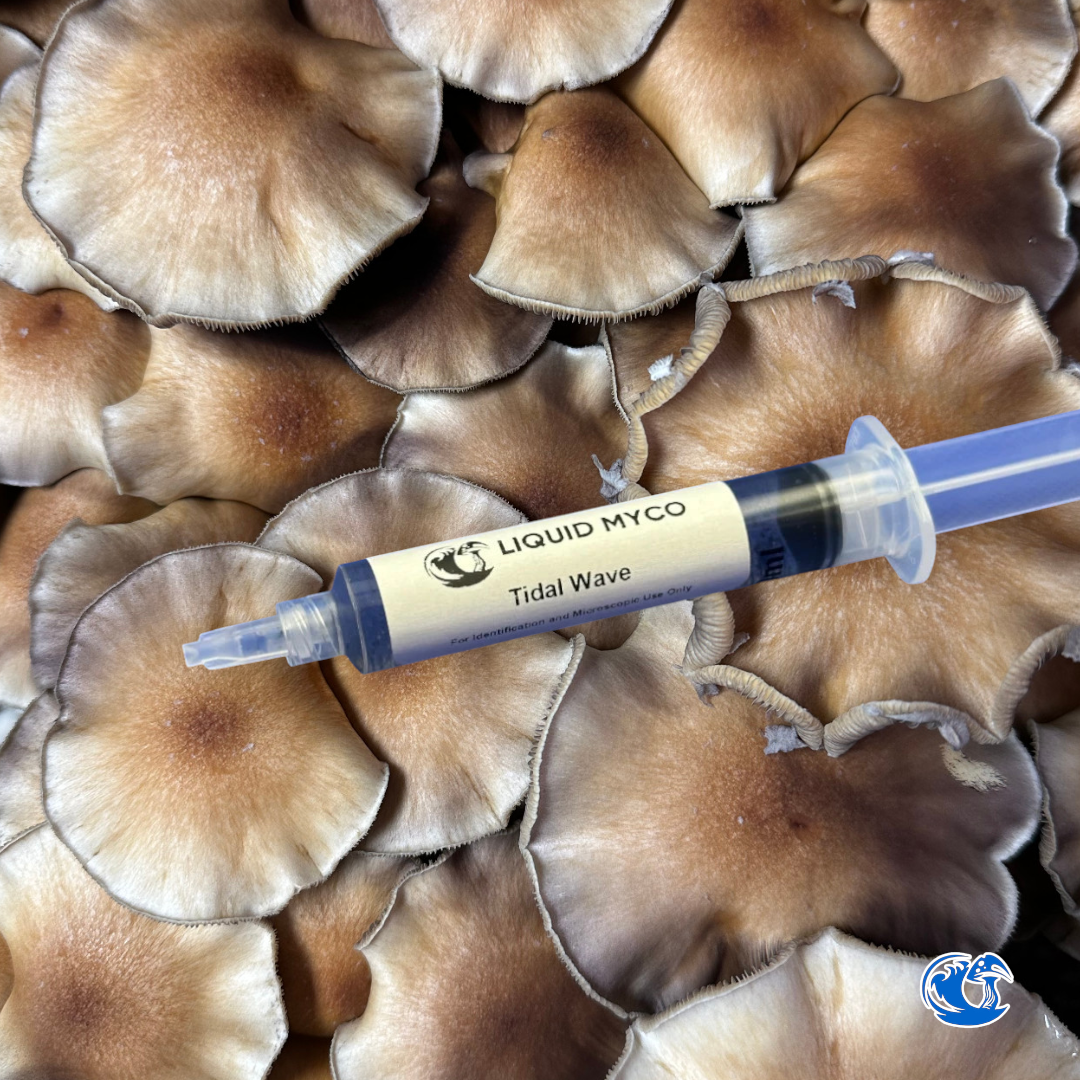 Tidal Wave Spore Syringe