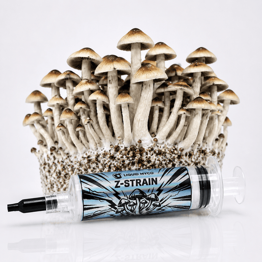 Z-Strain Hero