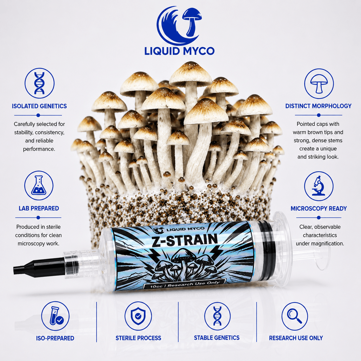 Z-Strain Infographic