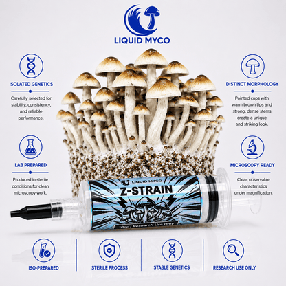 Z-Strain Infographic