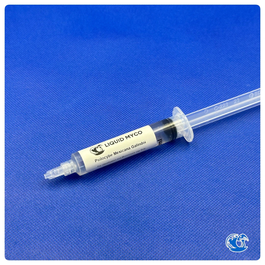 Psilocybe Mexicana Galindoi syringe